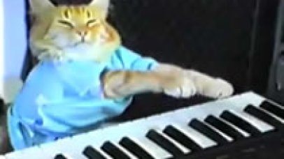 play-him-off-keyboard-cat_406x228