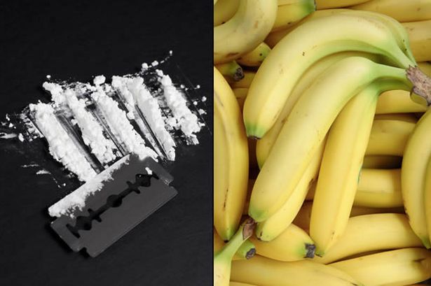 Cocaine-bananas