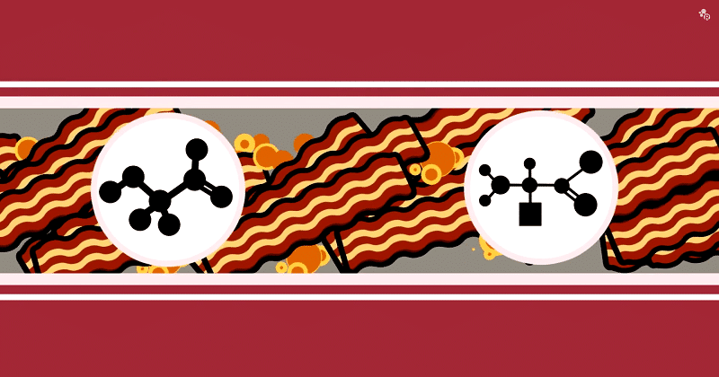 bacon_science