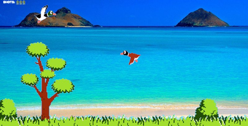 Hawaii-duckhunt