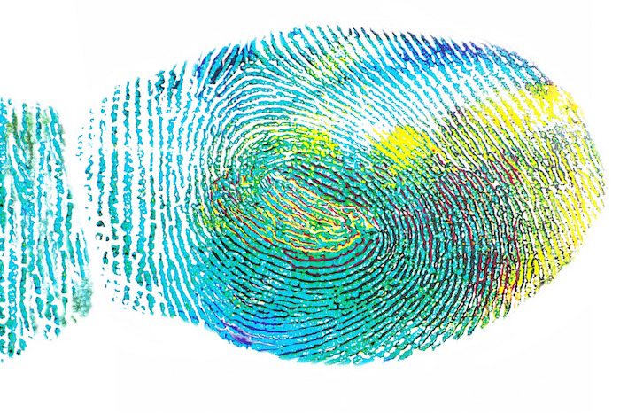 fingerprint-328992_1280