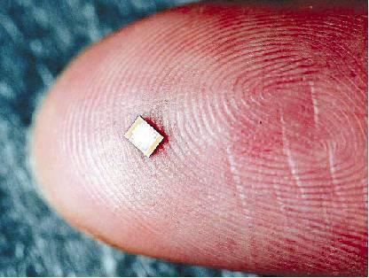 chip implant