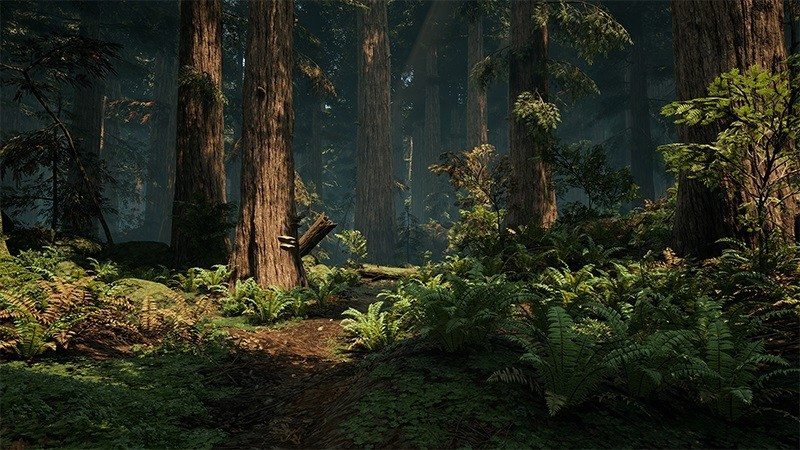 redwood unreal engine 4 forest (2)1