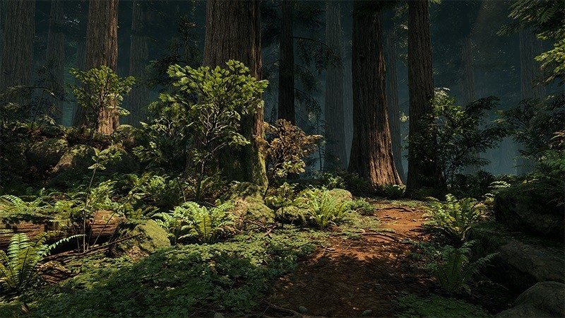 redwood unreal engine 4 forest (3)1