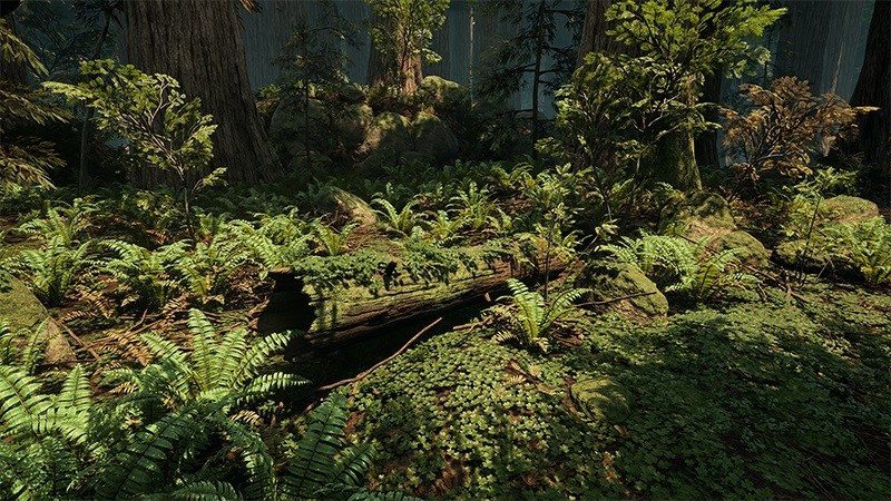 redwood unreal engine 4 forest (5)1