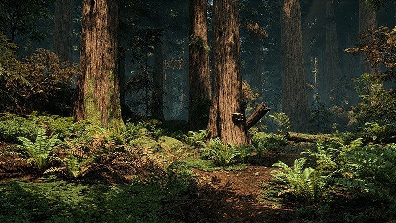 redwood unreal engine 4 forest (7)1