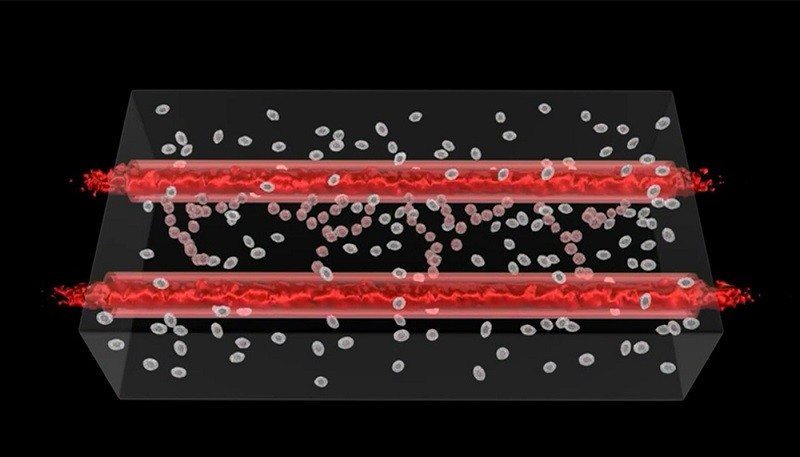 scientists 3d-print blood vessels