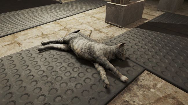 Fallout 4 Mod Does What Really Matters - Adds More Realistic Cats