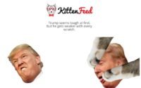 Donald Trump's Lawyers Take Down 17-Year Old Girl's Kitten Website