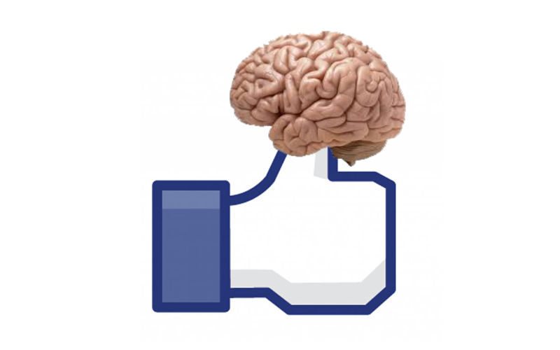 Does Facebook Shrink Your Brain?