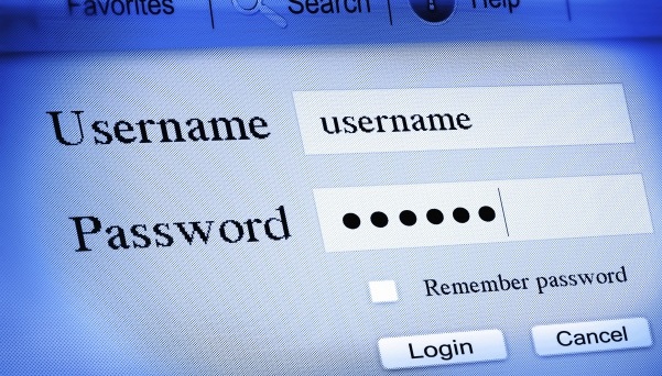Password Log in