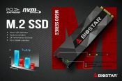 Biostar Announces M500 M.2 PCI-Express NVMe SSD