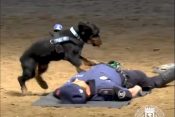 dog cpr police