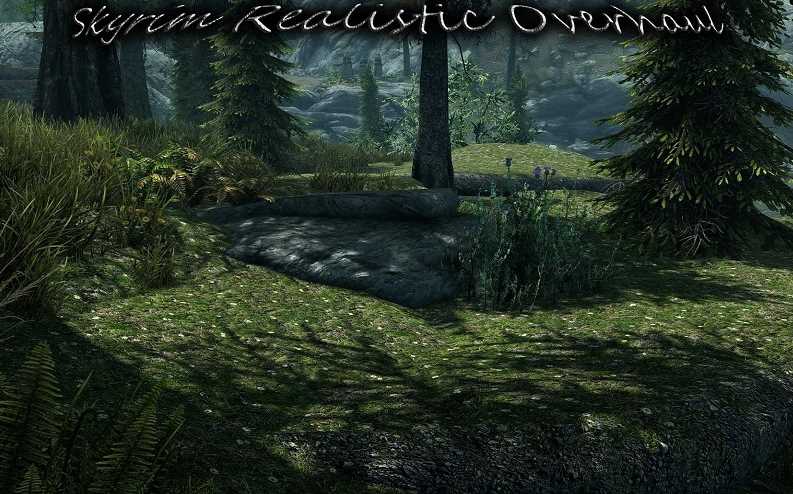 Skyrim Realistic Overhaul Updated - 10GB of Gorgeous Textures!