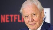 Sir David Attenborough Teams Up with Netflix for 'Our Planet'