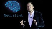 Elon Musk Finally Unveils His Plans for Neuralink