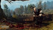 The Witcher 3 - Wild Hunt Screenshot